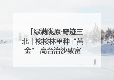 绿满陇原·奇迹三北｜梭梭林里种“黄金” 高台治沙致富很“从容”