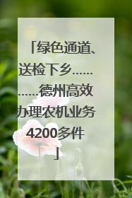 绿色通道、送检下乡…………德州高效办理农机业务4200多件
