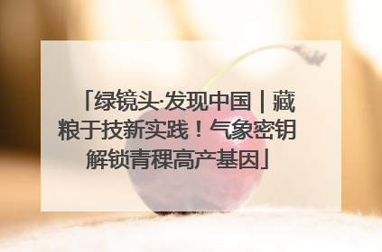 绿镜头·发现中国｜藏粮于技新实践！气象密钥解锁青稞高产基因