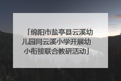 绵阳市盐亭县云溪幼儿园同云溪小学开展幼小衔接联合教研活动
