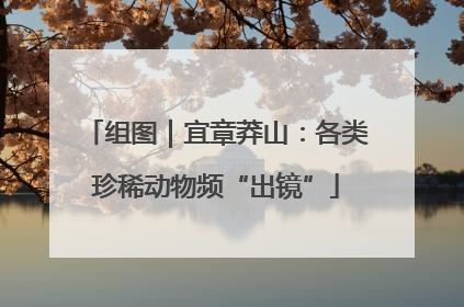 组图｜宜章莽山：各类珍稀动物频“出镜”