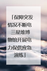 保障突发情况不断电 三星堆博物馆开展电力保供应急演练