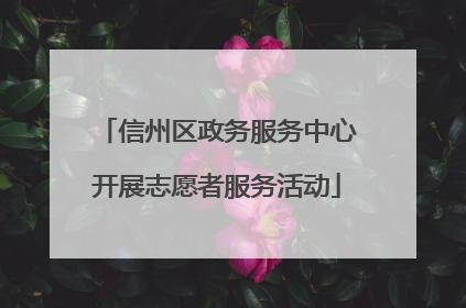 信州区政务服务中心开展志愿者服务活动