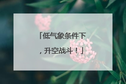 低气象条件下，升空战斗！