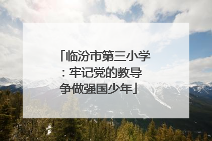 临汾市第三小学：牢记党的教导 争做强国少年