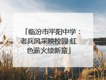 临汾市平阳中学：老兵风采映校园 红色薪火续新章