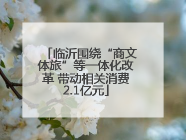 临沂围绕“商文体旅”等一体化改革 带动相关消费2.1亿元