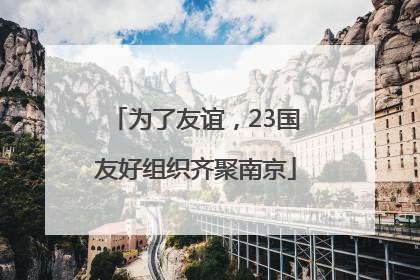 为了友谊，23国友好组织齐聚南京
