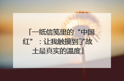 一纸信笺里的“中国红”：让我触摸到了故土最真实的温度