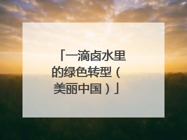 一滴卤水里的绿色转型（美丽中国）