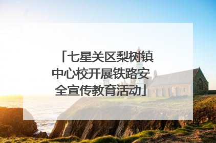 七星关区梨树镇中心校开展铁路安全宣传教育活动