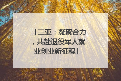 三亚：凝聚合力，共赴退役军人就业创业新征程