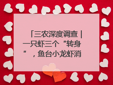 三农深度调查｜一只虾三个“转身”，鱼台小龙虾消费季升级