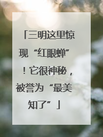 三明这里惊现“红眼蝉”！它很神秘，被誉为“最美知了”