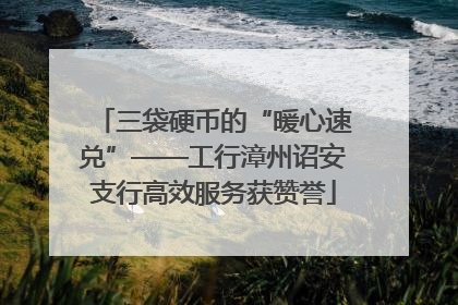 三袋硬币的“暖心速兑”——工行漳州诏安支行高效服务获赞誉