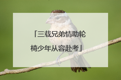 三载兄弟情助轮椅少年从容赴考