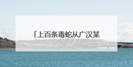 上百条毒蛇从广汉某养殖场逃出来了？官方：谣言！“毒蛇跑失”系虚构丨云辟谣