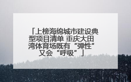 上榜海绵城市建设典型项目清单 重庆大田湾体育场既有“弹性”又会“呼吸”
