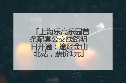 上海乐高乐园首条配套公交线路明日开通：途经金山北站，票价1元