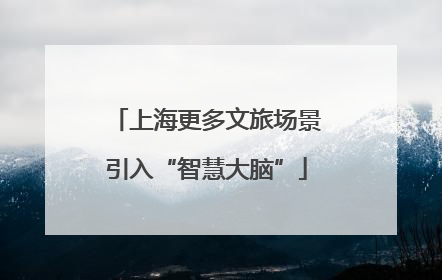 上海更多文旅场景引入“智慧大脑”