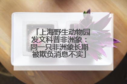 上海野生动物园发文科普非洲象：同一只非洲象长期被欺负消息不实