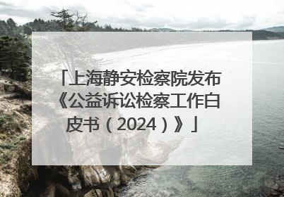 上海静安检察院发布《公益诉讼检察工作白皮书（2024）》