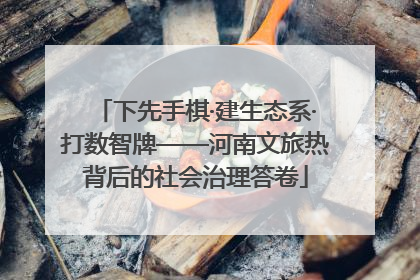 下先手棋·建生态系·打数智牌——河南文旅热背后的社会治理答卷
