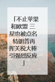 不止苹果和欧盟 三星也被点名 特朗普再挥关税大棒引强烈反应