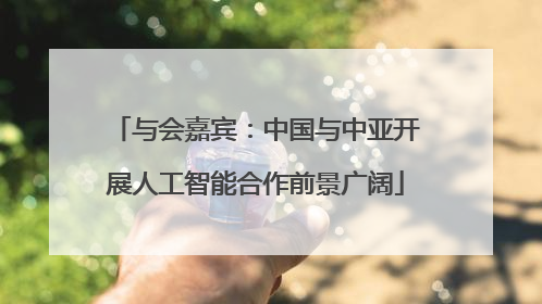 与会嘉宾：中国与中亚开展人工智能合作前景广阔
