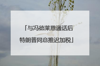 与冯德莱恩通话后 特朗普同意推迟加税