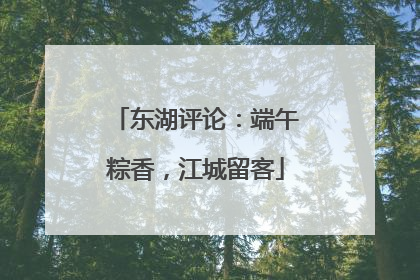 东湖评论：端午粽香，江城留客