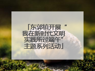 东郭镇开展“我在新时代文明实践所过端午”主题系列活动
