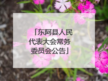 东阿县人民代表大会常务委员会公告