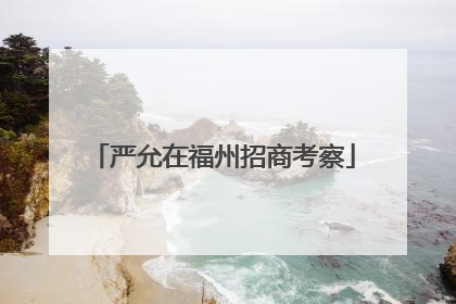 严允在福州招商考察