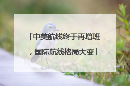 中美航线终于再增班，国际航线格局大变