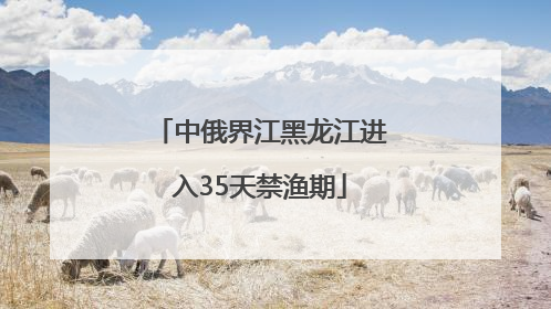 中俄界江黑龙江进入35天禁渔期