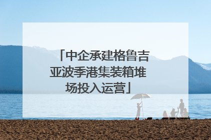 中企承建格鲁吉亚波季港集装箱堆场投入运营