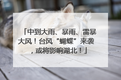 中到大雨、暴雨、雷暴大风！台风“蝴蝶”来袭，或将影响湖北！