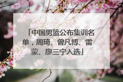 中国男篮公布集训名单，周琦、曾凡博、雷蒙、廖三宁入选