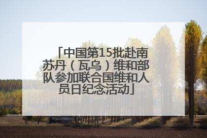 中国第15批赴南苏丹（瓦乌）维和部队参加联合国维和人员日纪念活动