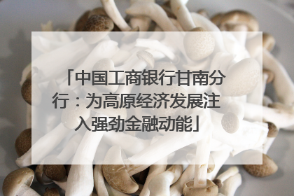 中国工商银行甘南分行：为高原经济发展注入强劲金融动能