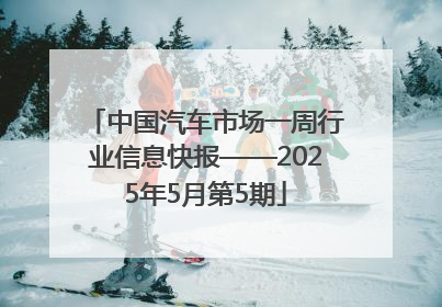 中国汽车市场一周行业信息快报——2025年5月第5期