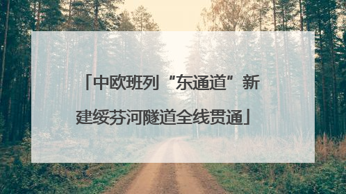 中欧班列“东通道”新建绥芬河隧道全线贯通