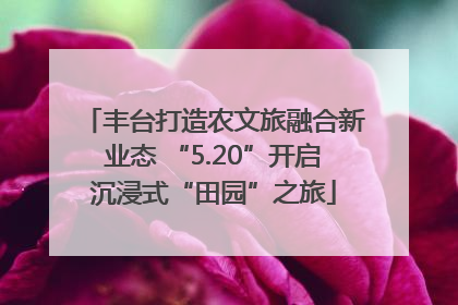 丰台打造农文旅融合新业态 “5.20”开启沉浸式“田园”之旅