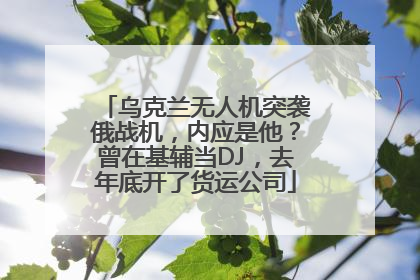 乌克兰无人机突袭俄战机，内应是他？曾在基辅当DJ，去年底开了货运公司