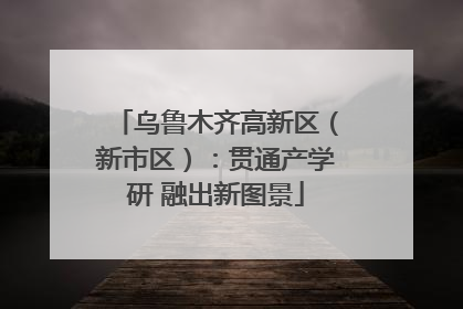 乌鲁木齐高新区（新市区）：贯通产学研 融出新图景