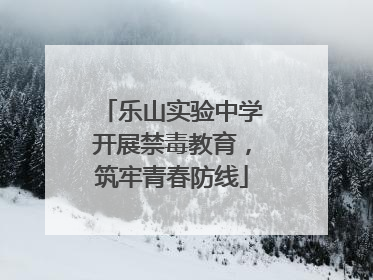 乐山实验中学开展禁毒教育，筑牢青春防线