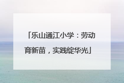 乐山通江小学：劳动育新苗，实践绽华光