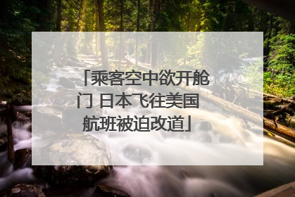 乘客空中欲开舱门 日本飞往美国航班被迫改道