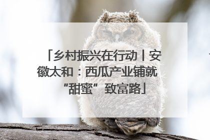 乡村振兴在行动丨安徽太和：西瓜产业铺就“甜蜜”致富路